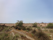 Satılır 12 sot torpaq Neftçala