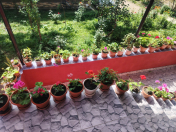 İcarəyə verilir 3 otaqlı 150 m2 həyət evi Qəbələ