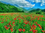 Satılır 12 sot torpaq Oğuz