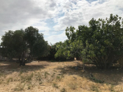 Satılır 3.7 sot torpaq Novxanı