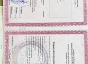 Satılır 10 sot torpaq Binə