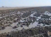 Satılır 141 sot torpaq Samux