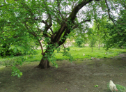 Satılır 10 sot torpaq Quba