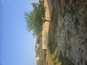 Satılır 5 sot torpaq Novxanı