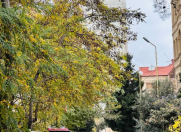 Satılır 4 otaqlı 80 m2 həyət evi Elmlər Akademiyası m.