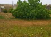 Satılır 8 sot torpaq Albalı