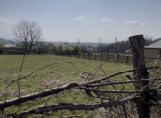 Satılır 19 sot torpaq Qəbələ