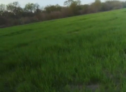 Satılır 3 sot torpaq Xaçmaz