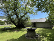 İcarəyə verilir 3 otaqlı 100 m2 həyət evi Zaqatala