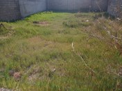 Satılır 3 sot torpaq Buzovna