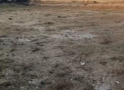 Satılır 22 sot torpaq Saray