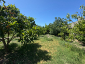 Satılır 4.5 sot torpaq Mərdəkan