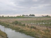 Satılır 24 sot torpaq Salyan