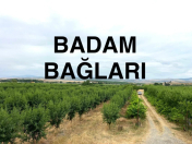 Satılır 2 otaqlı 200 m2 obyekt Şabran