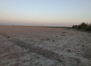 Satılır 400 sot torpaq Qəbələ