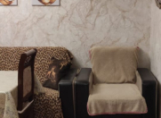 Satılır 3 otaqlı 70 m2 köhnə tikili 28 May m.