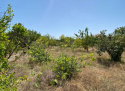 Satılır 20 sot torpaq 9 mkr