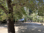 Satılır 2 otaqlı 41 m2 köhnə tikili 2 mkr