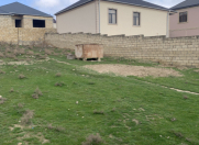 Satılır 6 sot torpaq Masazır