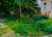 Satılır 6 otaqlı 180 m2 bağ evi Quba