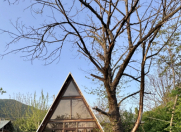 İcarəyə verilir 2 otaqlı 60 m2 həyət evi Zaqatala