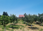 Satılır 3 otaqlı 80 m2 bağ evi Sabunçu r.