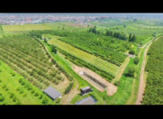 Satılır 1.66 sot torpaq Quba