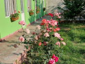 İcarəyə verilir 2 otaqlı 100 m2 bağ evi Quba