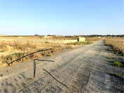 Satılır 250 sot torpaq Məhəmmədli