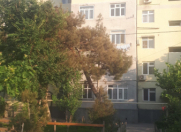 Satılır 2 otaqlı 48 m2 köhnə tikili Binə