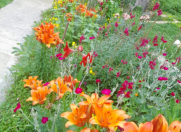 İcarəyə verilir 4 otaqlı 120 m2 həyət evi Qax