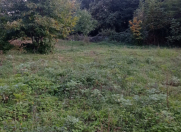 Satılır 12 sot torpaq Qəbələ