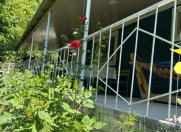 İcarəyə verilir 3 otaqlı 120 m2 həyət evi İsmayıllı