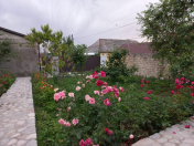 İcarəyə verilir 3 otaqlı 110 m2 həyət evi İsmayıllı