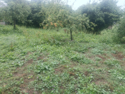 Satılır 5 sot torpaq Qəbələ