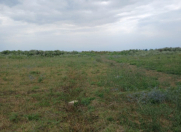 Satılır 20 sot torpaq Yevlax