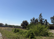 Satılır 12 sot torpaq Ləhic Bağları