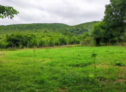 Satılır 10 sot torpaq İsmayıllı