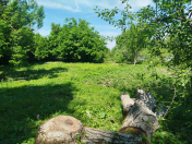 Satılır 10 sot torpaq İsmayıllı