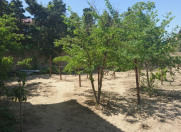 Satılır 11 sot torpaq Bilgəh