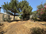 Satılır 8 sot torpaq Badamdar