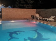 İcarəyə verilir 4 otaqlı 450 m2 bağ evi Novxanı