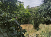 Satılır 6 sot torpaq Ağstafa