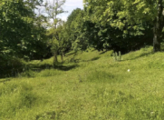 Satılır 22 sot torpaq İsmayıllı