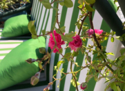 Satılır 6 otaqlı 435.5 m2 yeni tikili 8 Noyabr m.