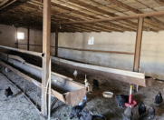 Satılır 4 otaqlı 1200 m2 obyekt Bahar