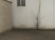 Satılır 0.7 sot torpaq Biləcəri