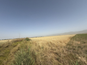 Satılır 600 sot torpaq Ağsu