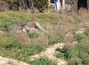 Satılır 3.5 sot torpaq Qaraçuxur