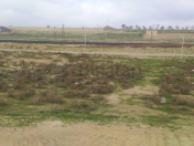 Satılır 39.7 sot torpaq Saray